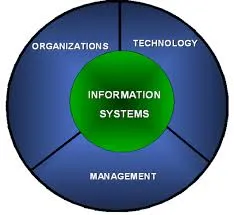 I will write management information system project